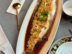 黄椒翘嘴白鱼-羲和雅苑•北京烤鸭(平安国际金融中心店)