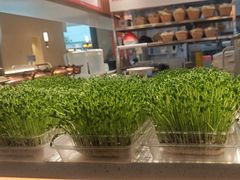 -好彩猪肚鸡(正弘城店)