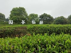 -酒仙湖景区