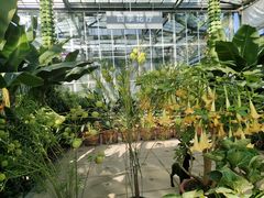 -国家植物园南园