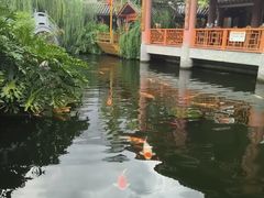-香麒园·过桥米线·南湖雅宴