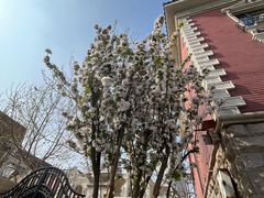 -天津五大道文化旅游区