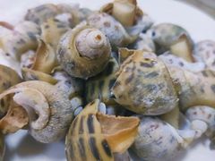 白灼花螺-记忠海鲜