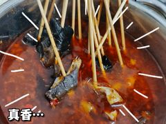 -小老虎