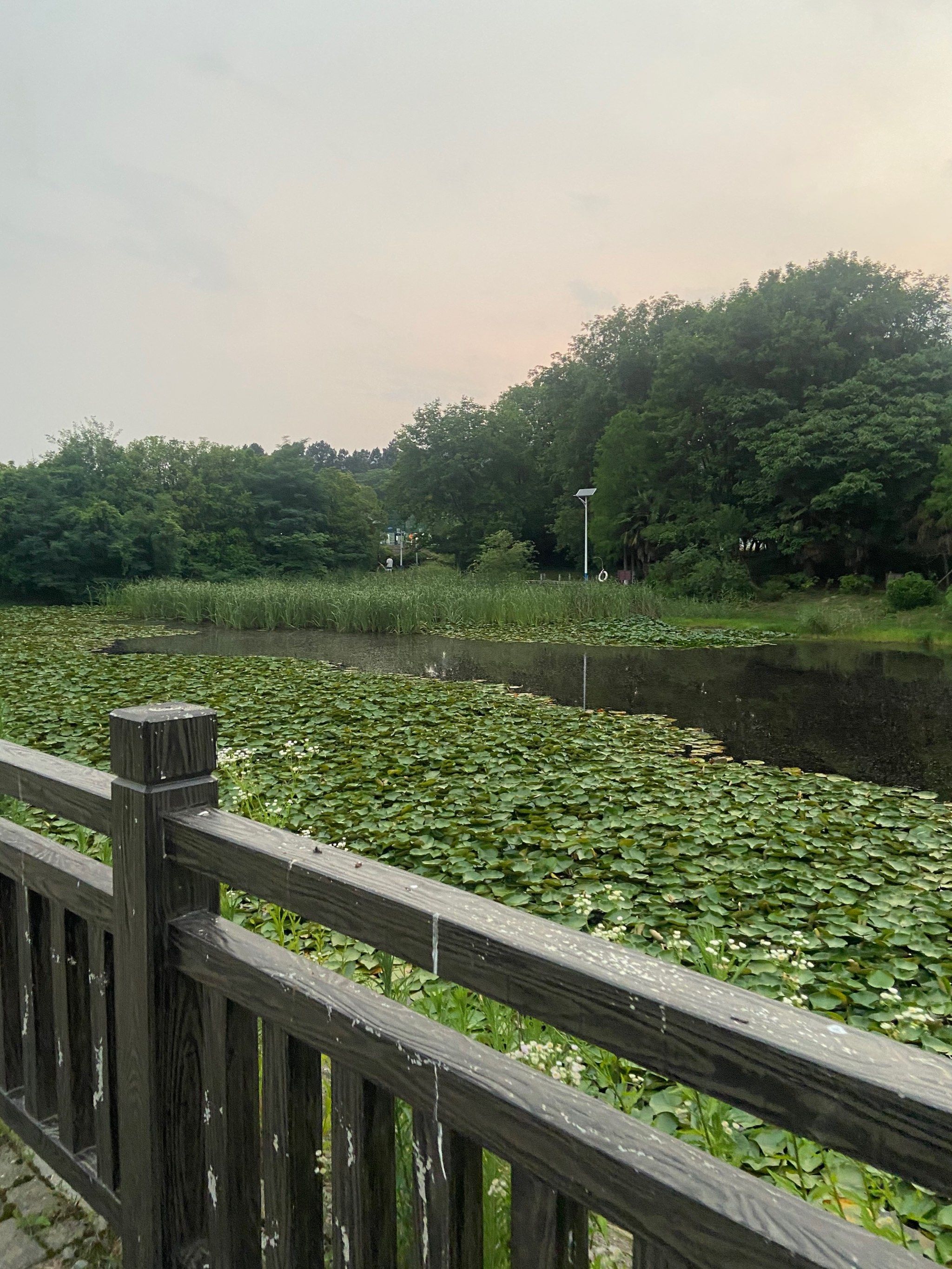 端午出游第一天打卡桐城西郊公园