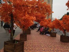 -西亚美超市(西亚丽宝广场店)