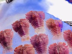 -澜悦港海鲜体验主题餐厅