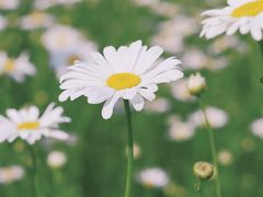 -四里河滨水生态公园