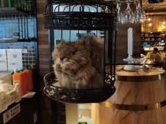 -星伦多 自助料理(圆融店)