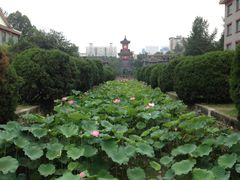 -四川大学(望江校区)