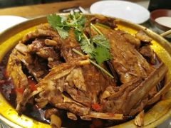 -友乐居羊蝎子(西直门店)