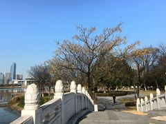 -月湖风景区