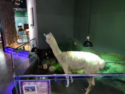 -未来动物城主题公园(正弘城店)