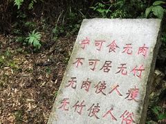 -井冈山风景名胜区