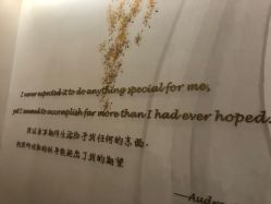 -赫本素·医疗美容中心