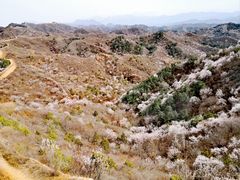 -蟠龙山长城景区