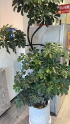 -LJOY丽锦造型·烫发染发