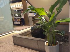 -滇铺子·云南特色菜·鲜花野菜季(东风东路c86店)