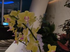 -广州四季酒店