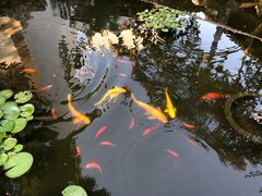 -苏州冶园园林民宿(太湖西山风景区店)