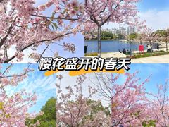 -新江湾城公园