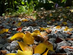 -老碗餐饮(前进路店)