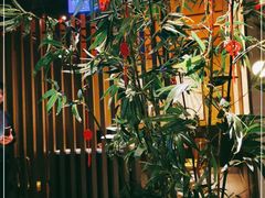 -老头儿油爆虾(星光一期店)