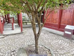 -太湖源风景区
