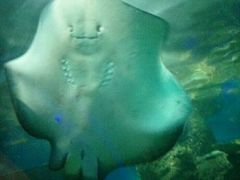 -大明湖海底世界