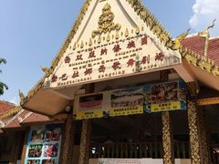 -西双版纳傣族园