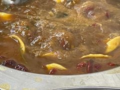 -新乡杨记红焖羊肉火锅(天坛南门店)