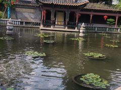 -碧江金楼