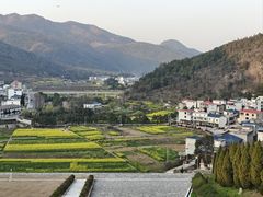 -鱼乐岛餐厅·户外花园主题餐厅