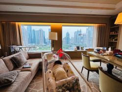 -巍阁高端月子会所