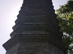-正阳书局(西四南大街店)