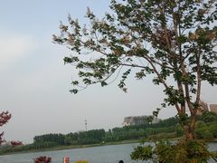 -麦陌(正弘城店)