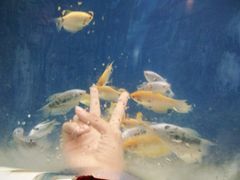 -北海·海洋之窗