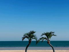 -日照灯塔风景区