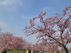 -上海辰山植物园