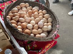 -马陆小张葡萄园农家乐