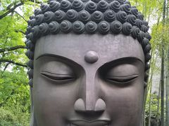 -杭州植物园