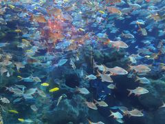 -成都浩海立方海洋公园