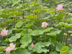 -湘湖大院(越王路店)
