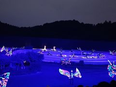 -鼎盛王朝康熙大典实景演出