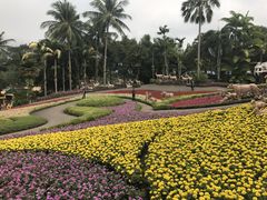 -东芭乐园