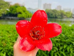 -东山湖公园