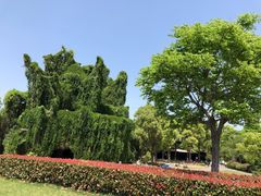-上海月湖雕塑公园