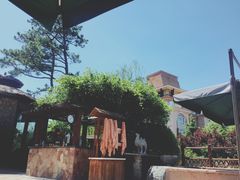 -芭东小镇温泉