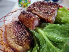 -石岐乳鸽村(南海第三分店)