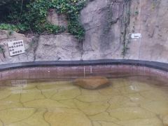 -威海天沐度假区温泉